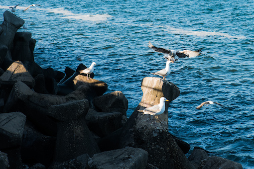 March by the Seaside